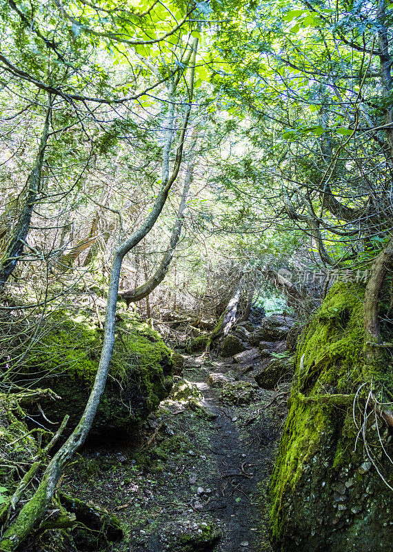在圣安妮山(Mont-Sainte-Anne)上，有一条名为“Sentier de la forêt magque”(魔法森林之路)的徒步小径，位于魁北克东部加斯比半岛的Percé小镇上。